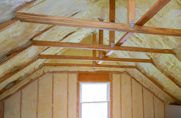Best Insulation Contractor Near Me  in Chilton, WI