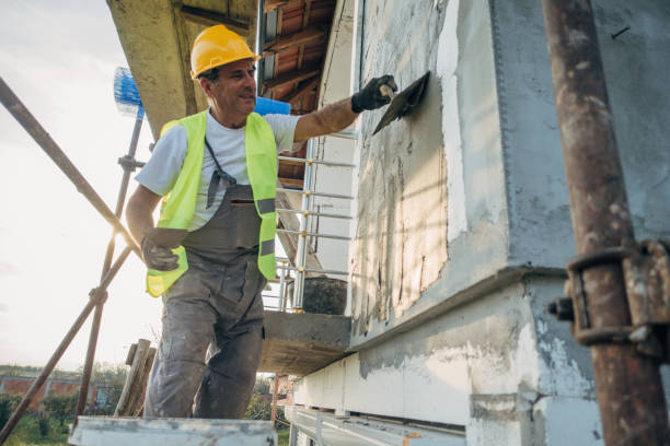 Best Insulation Removal  in Chilton, WI