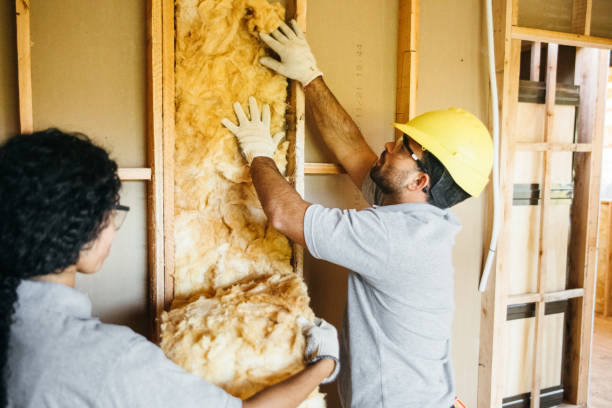 Best Insulation Removal Services  in Chilton, WI