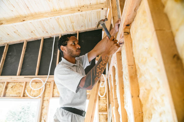 Best Best Insulation Companies  in Chilton, WI